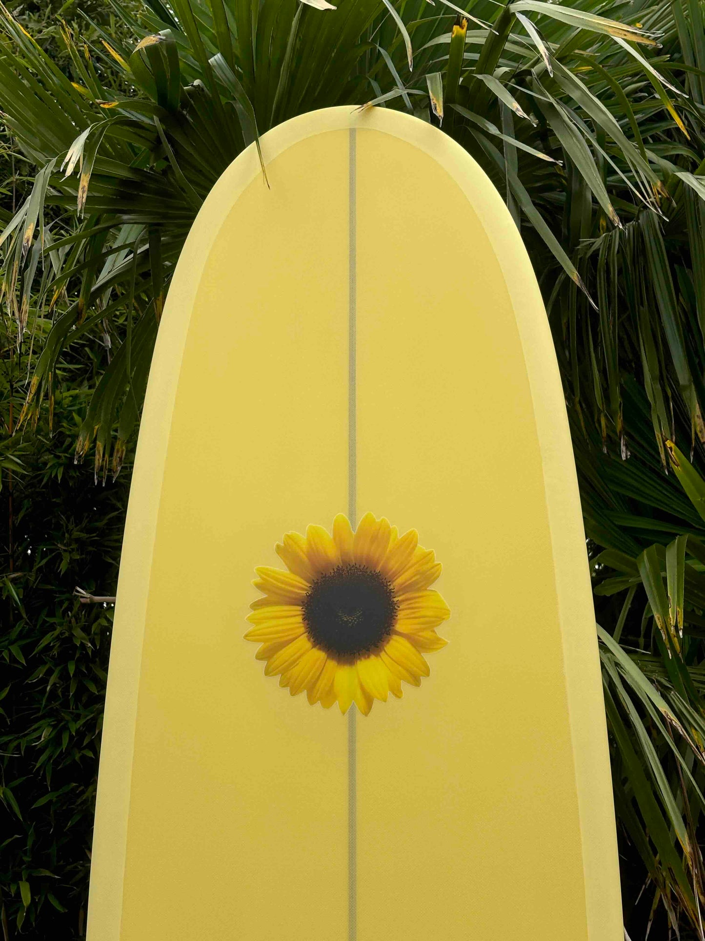 Longboard Noserider